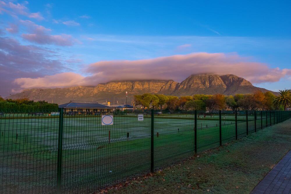 Rondebosch area